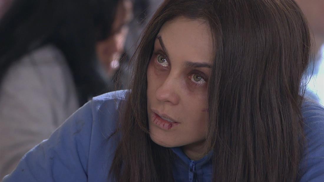 La Patrona 33 La Patrona 33