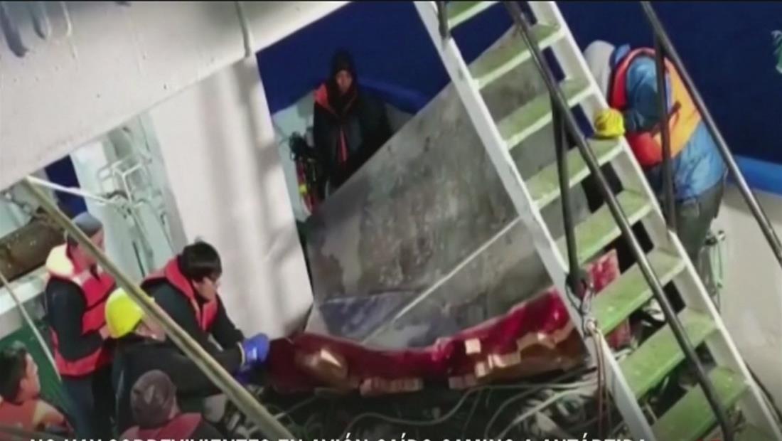 No hay sobrevivientes del avión militar chileno desparecido en la Antártida No hay sobrevivientes del avión militar chileno desparecido en la Antártida
