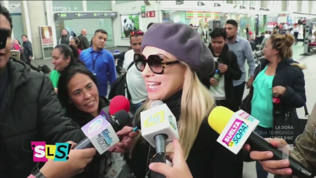 Aracely Arámbula revela que Luis Miguel no llamó a su hijo en su cumpleaños Aracely Arámbula revela que Luis Miguel no llamó a su hijo en su cumpleaños