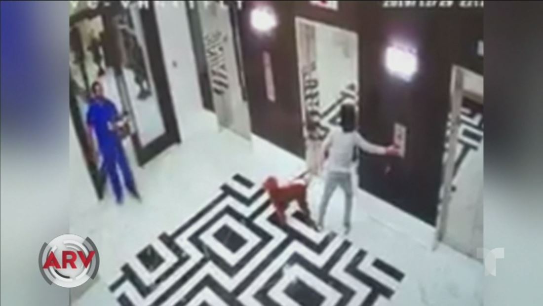 Un perro se quedó enredado con su correa en un elevador Un perro se quedó enredado con su correa en un elevador
