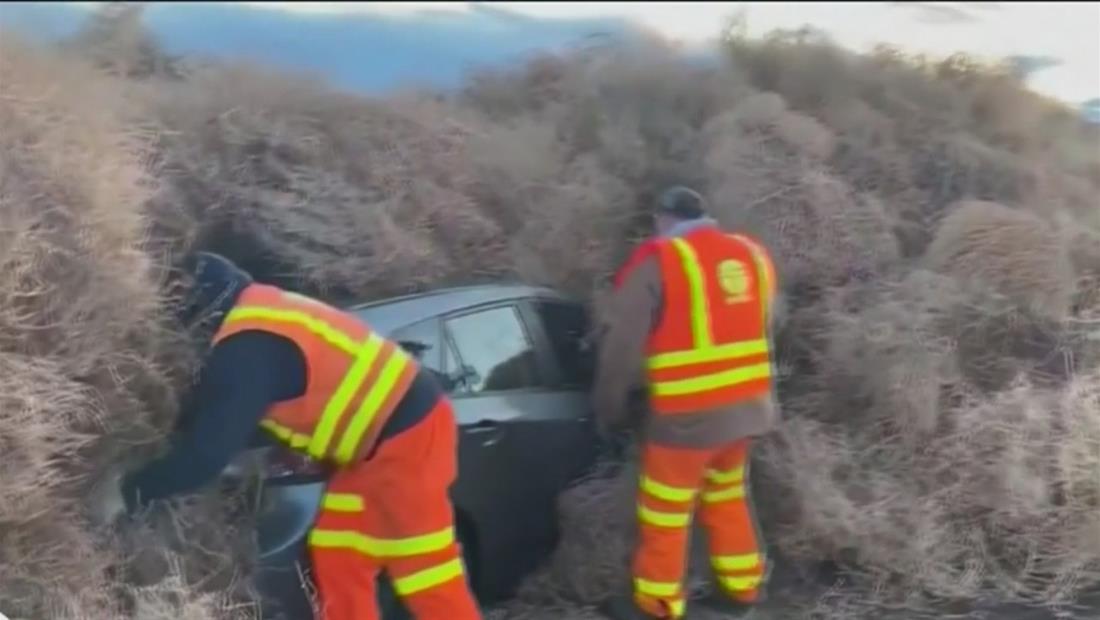 Arbustos rodantes provocan caos en carretera del estado de Washington Arbustos rodantes provocan caos en carretera del estado de Washington