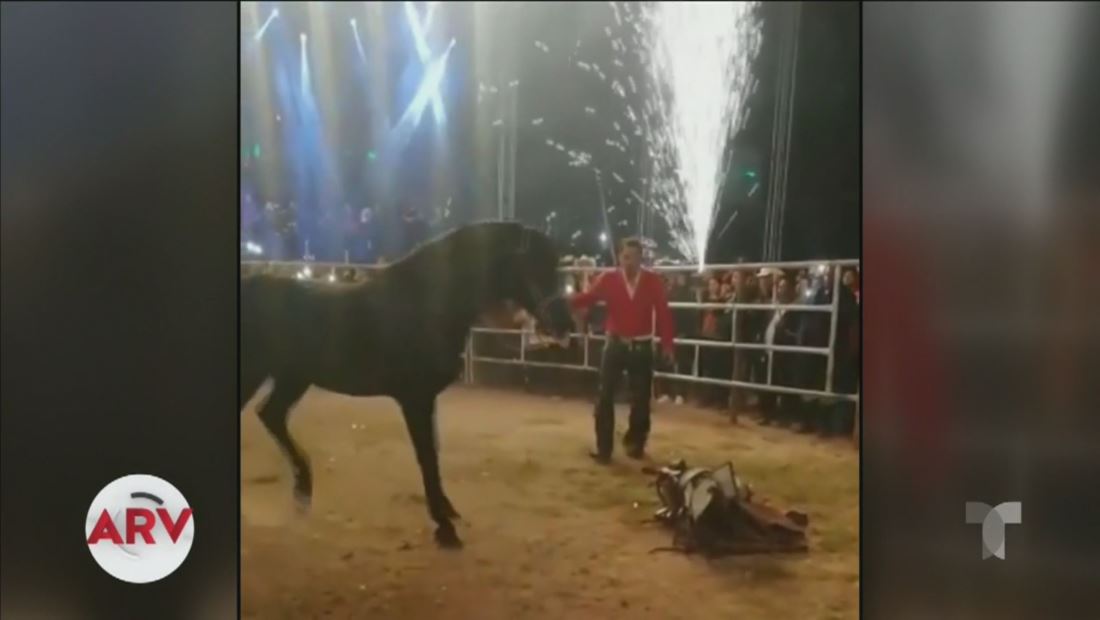 José Manuel Figueroa cae de su caballo durante un concierto José Manuel Figueroa cae de su caballo durante un concierto