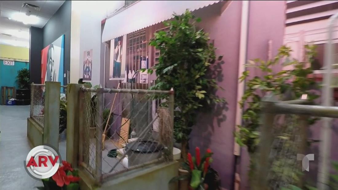 Museo de Daddy Yankee abre sus puertas en Puerto Rico Museo de Daddy Yankee abre sus puertas en Puerto Rico