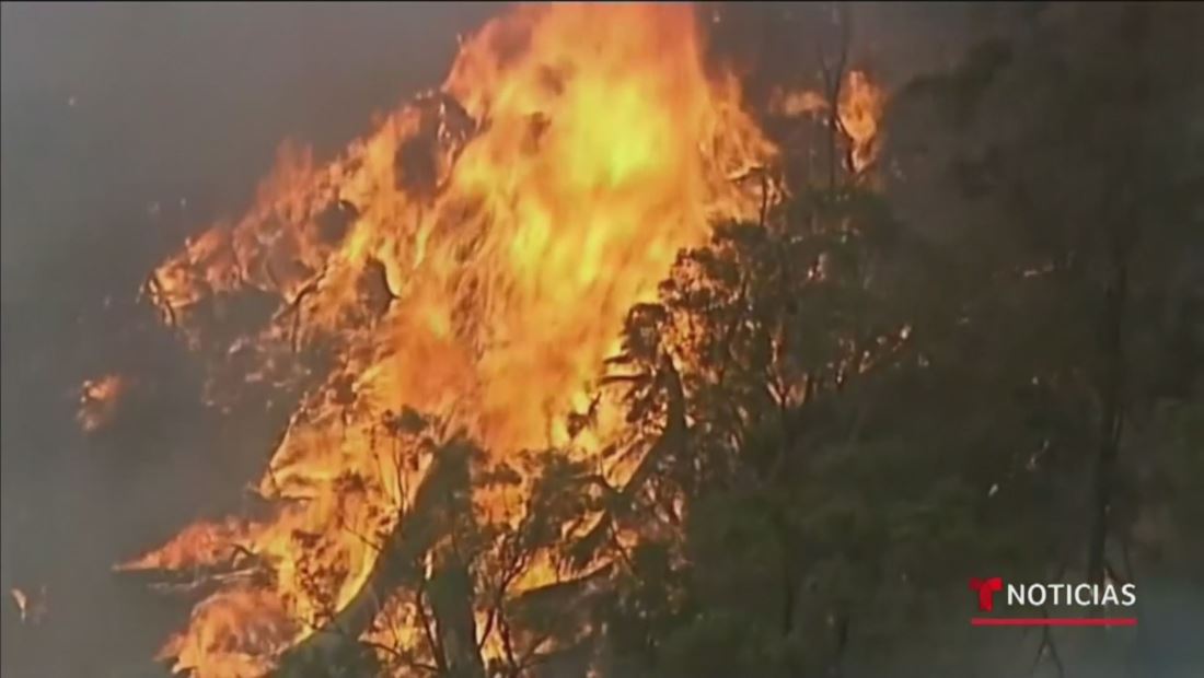 Australia cancela el tradicional espectáculo de pirotecnia de fin de año por los incendios Australia cancela el tradicional espectáculo de pirotecnia de fin de año por los incendios
