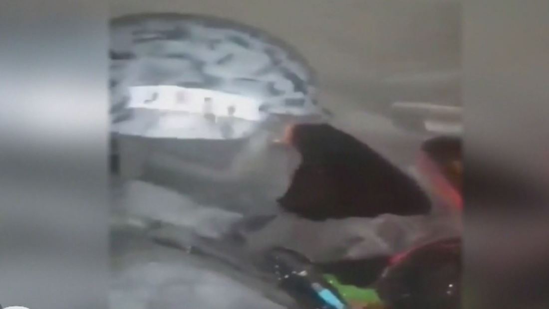 Narcos difunde el video de su brutal ataque a una alcaldía de México Narcos difunde el video de su brutal ataque a una alcaldía de México