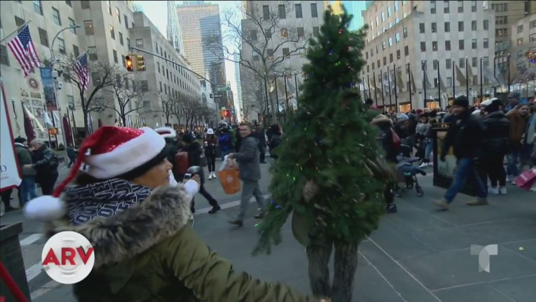 Arbolito navideño caminante recorre la Gran Manzana Arbolito navideño caminante recorre la Gran Manzana