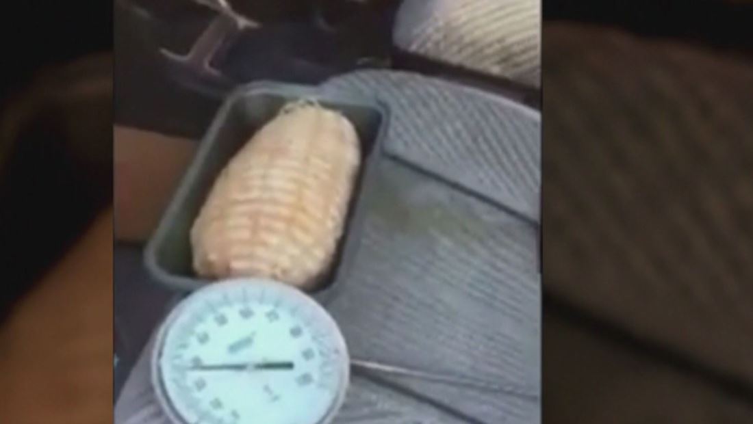 Hombre cocina libras de pernil bajo la temperatura de su auto Hombre cocina libras de pernil bajo la temperatura de su auto
