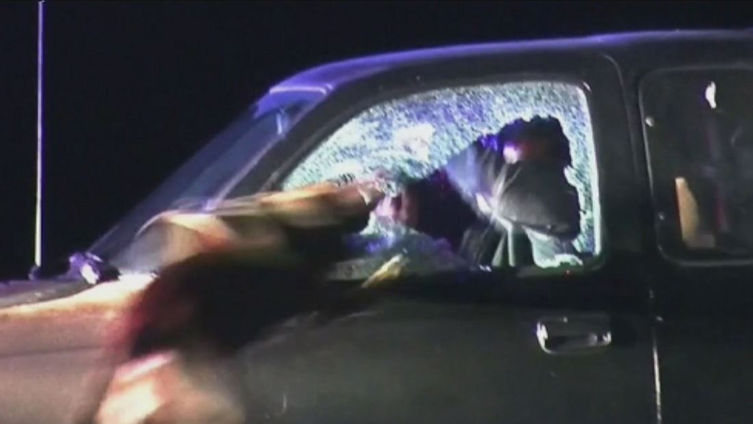 Perro policía detiene a sospechoso durante dramática persecución en California Perro policía detiene a sospechoso durante dramática persecución en California