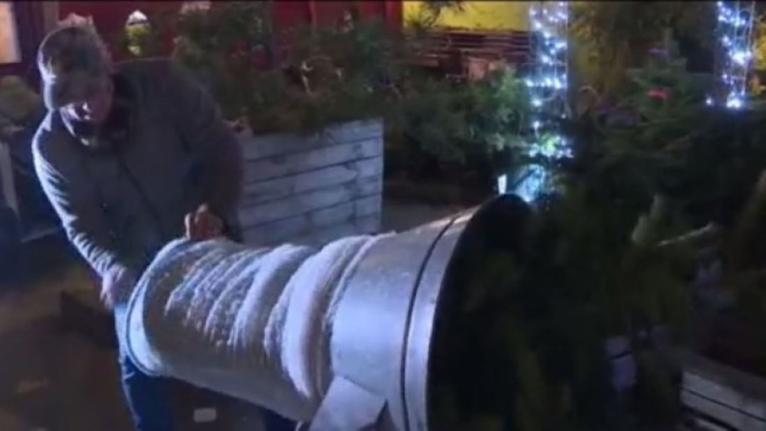 Jardinero alquila árboles de Navidad para evitar que terminen en la basura Jardinero alquila árboles de Navidad para evitar que terminen en la basura