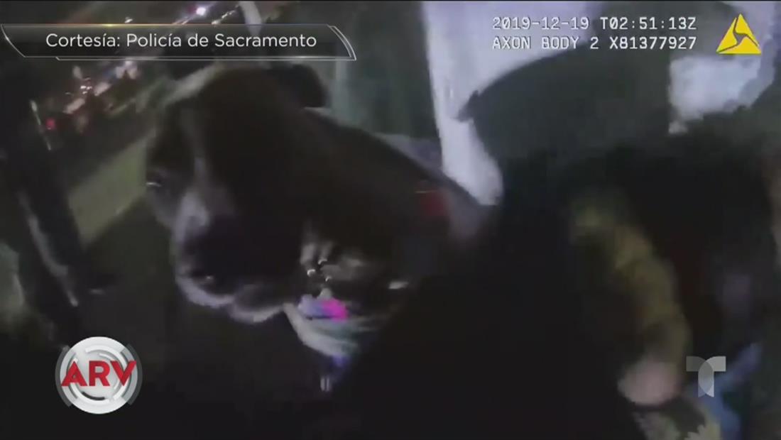 Un policía le dispara al perro de un desamparado cuando intentaba un arresto Un policía le dispara al perro de un desamparado cuando intentaba un arresto