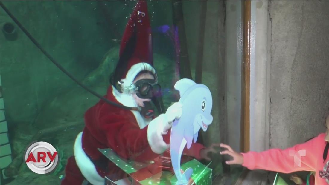 Señora Claus reparte sonrisas y entrega regalos bajo agua Señora Claus reparte sonrisas y entrega regalos bajo agua