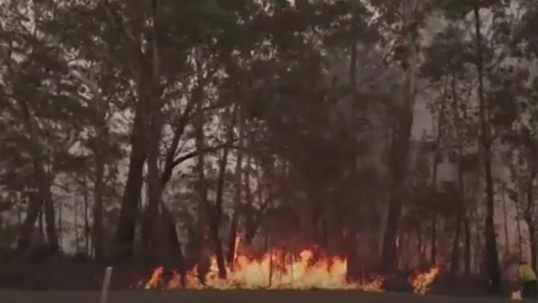 Australia destina 1,400 millones de dólares para las zonas quemadas por incendios forestales Australia destina 1,400 millones de dólares para las zonas quemadas por incendios forestales