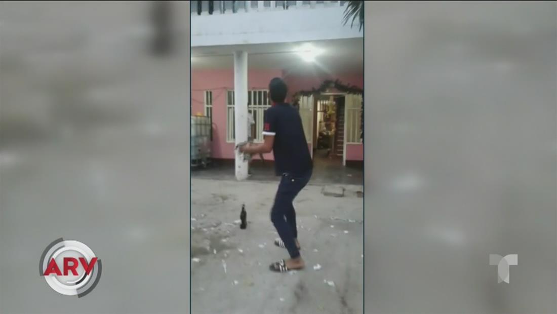 Joven lanza a un gato a un balcón y lo captan en video Joven lanza a un gato a un balcón y lo captan en video