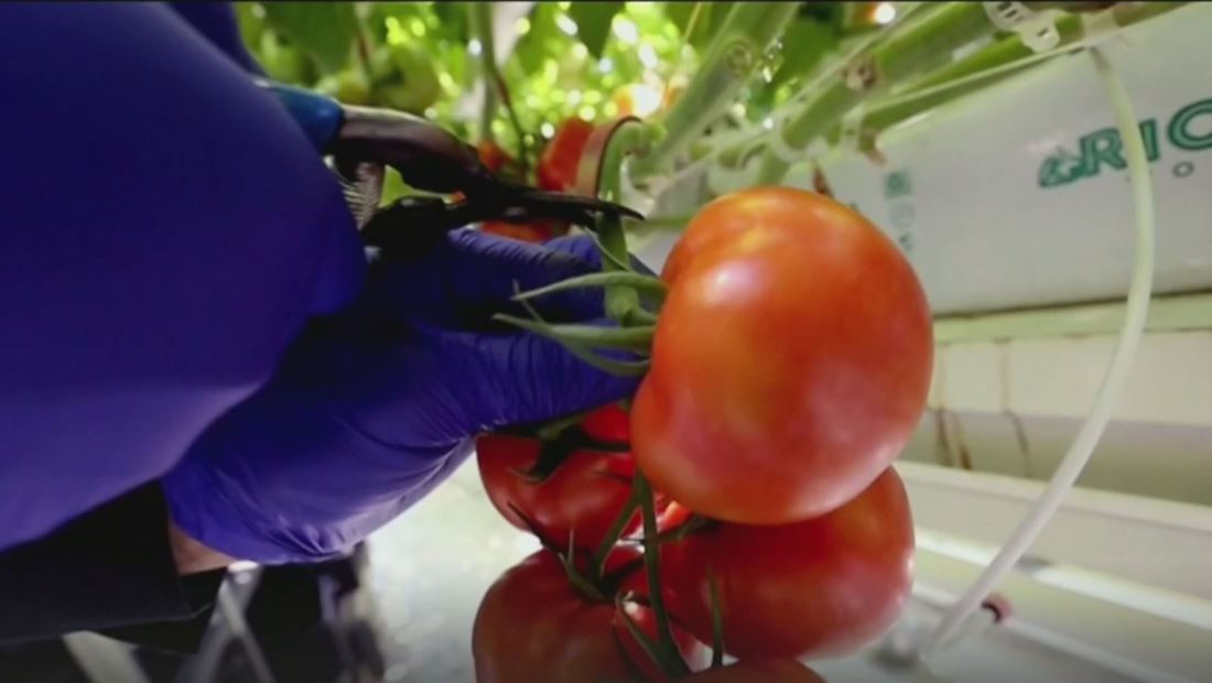 Avanza el proyecto de ley bipartidista que busca legalizar a los trabajadores del campo Avanza el proyecto de ley bipartidista que busca legalizar a los trabajadores del campo