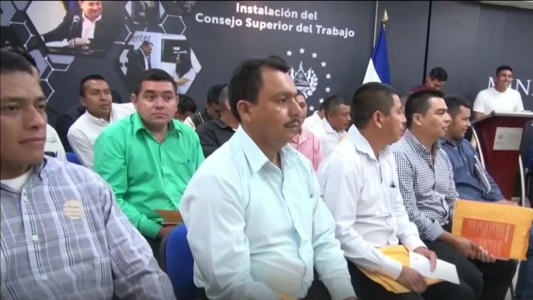 EE. UU. espera la llegada de los primeros 50 salvadoreños para trabajar en campos agrícolas EE. UU. espera la llegada de los primeros 50 salvadoreños para trabajar en campos agrícolas